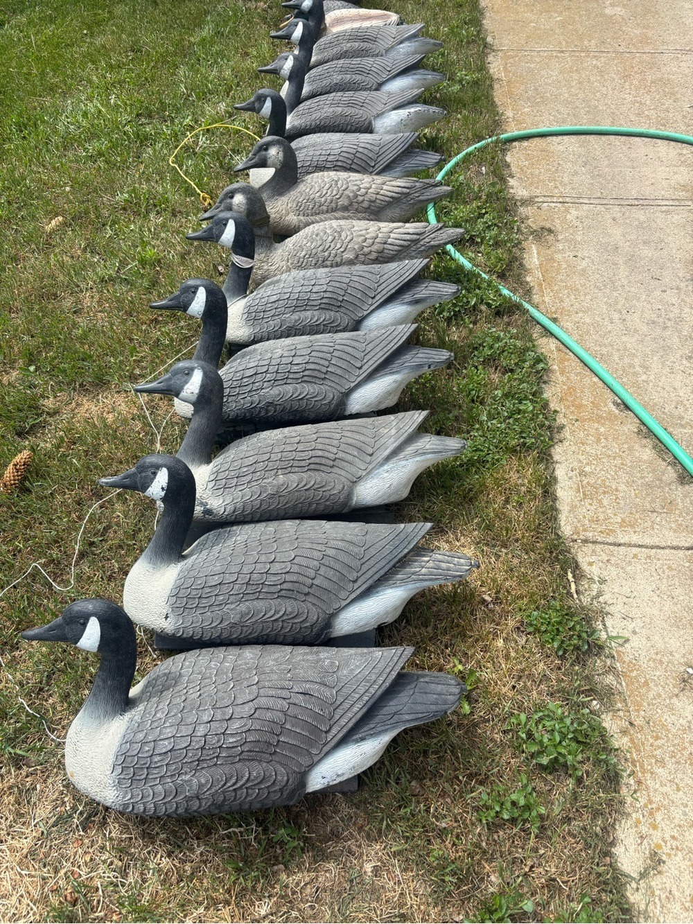 Vtg Flambeau Canada Goose Large Full Body Plastic Decoy Canadian Sinker Weight